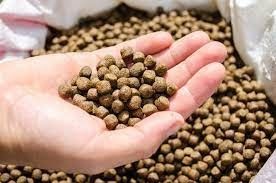 自動浮遊魚飼料ペレット加工機械