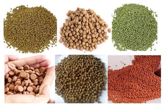 サイバイノウ フローティング・フィッシュ・フード・エクストルーダー加工ライン